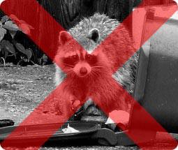 Rodent Sheriff Racoon Repellent
